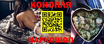 гидра Братск