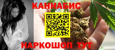 гидра Братск